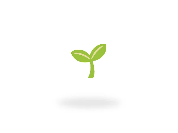 Hybrid Seeds