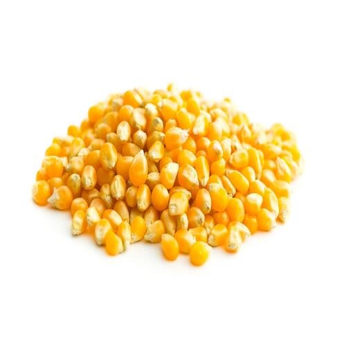 Seeds