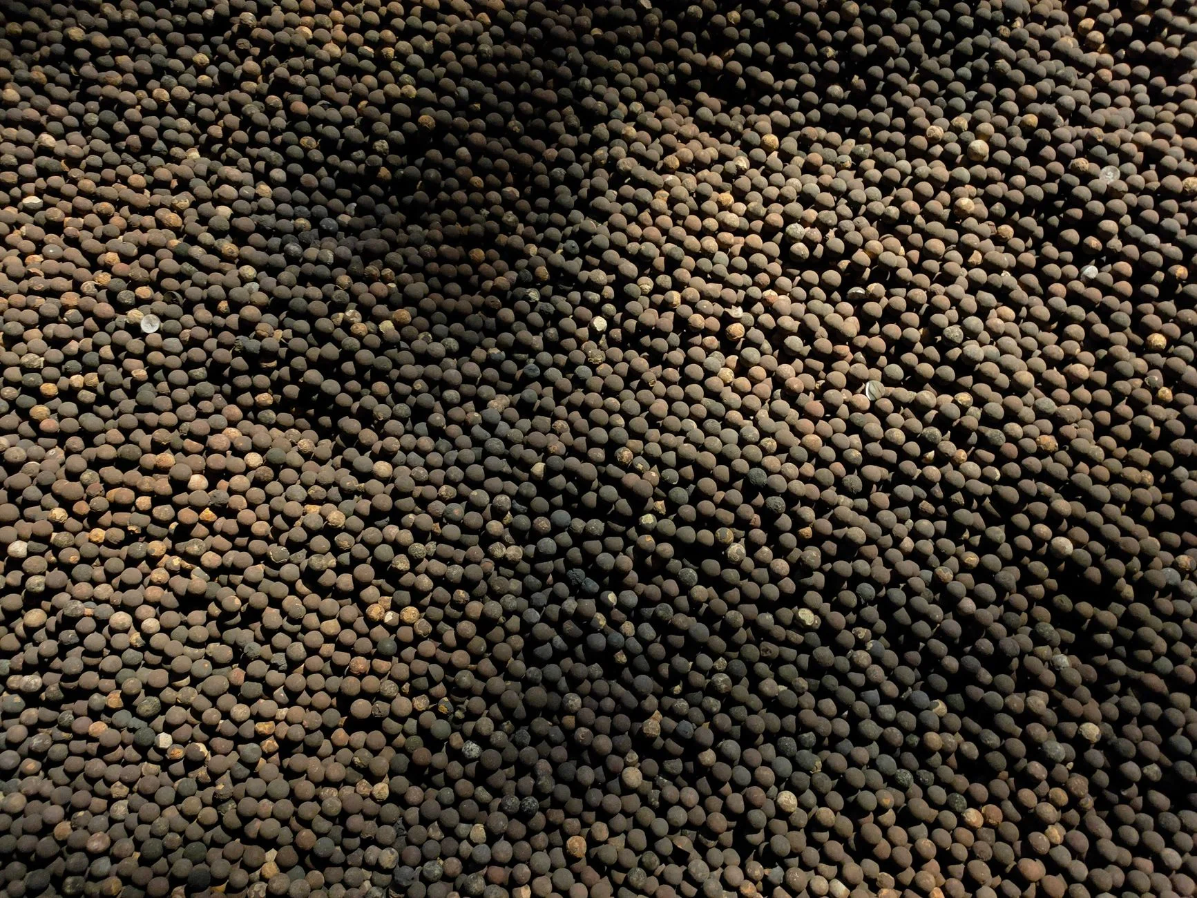 Green Cardamom Seeds