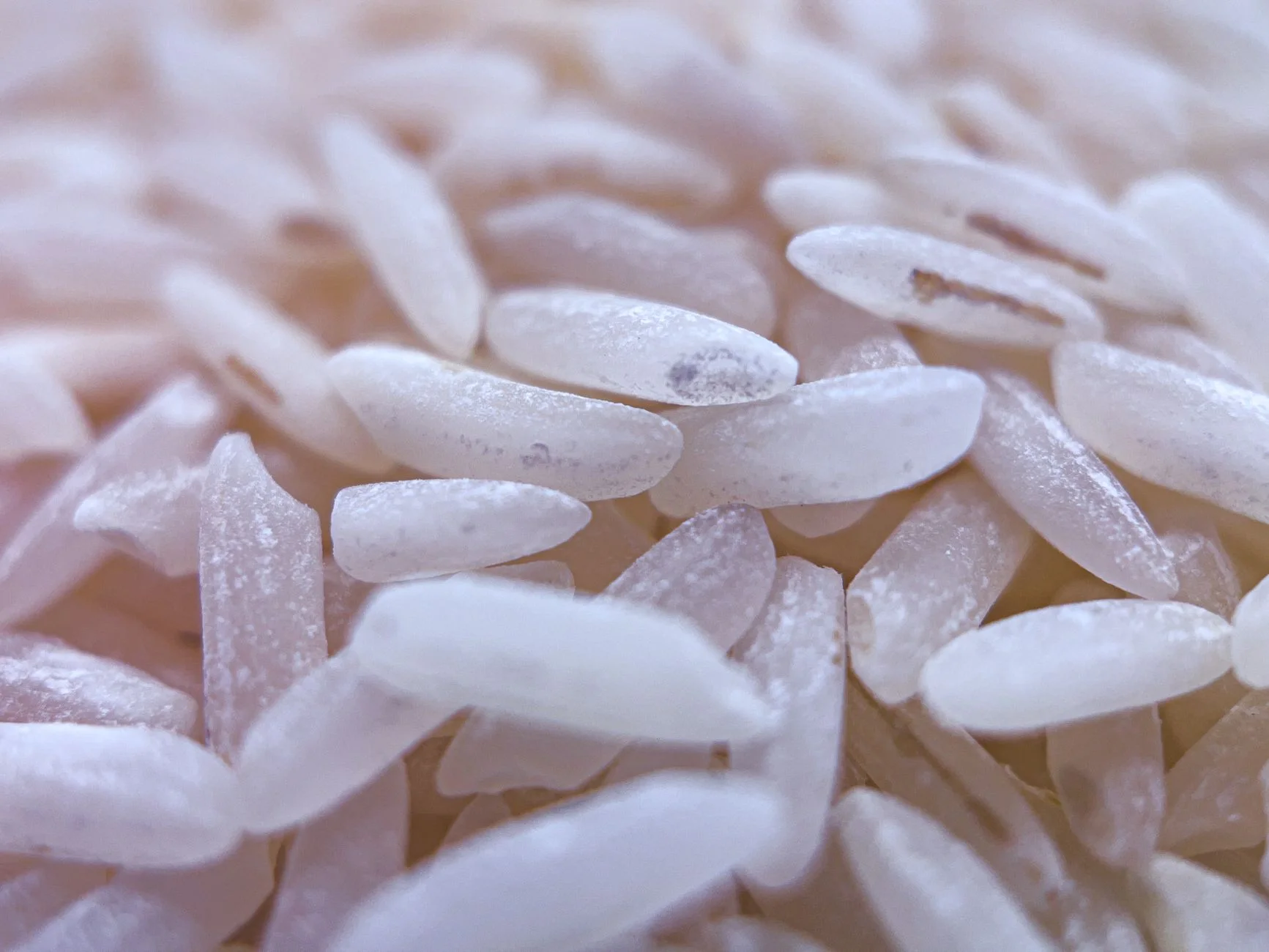IR 36 Non Basmati Rice