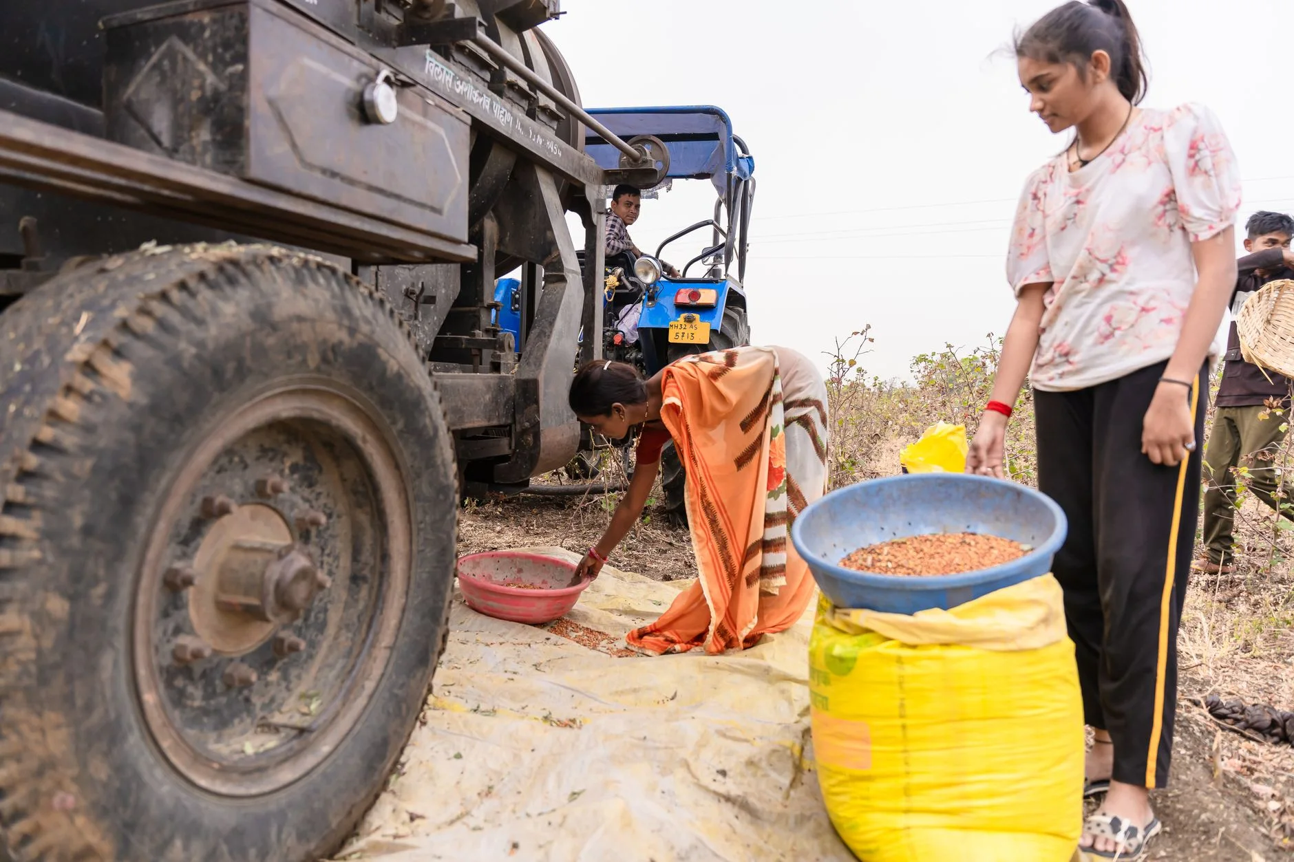 Natural Jaggery Powder