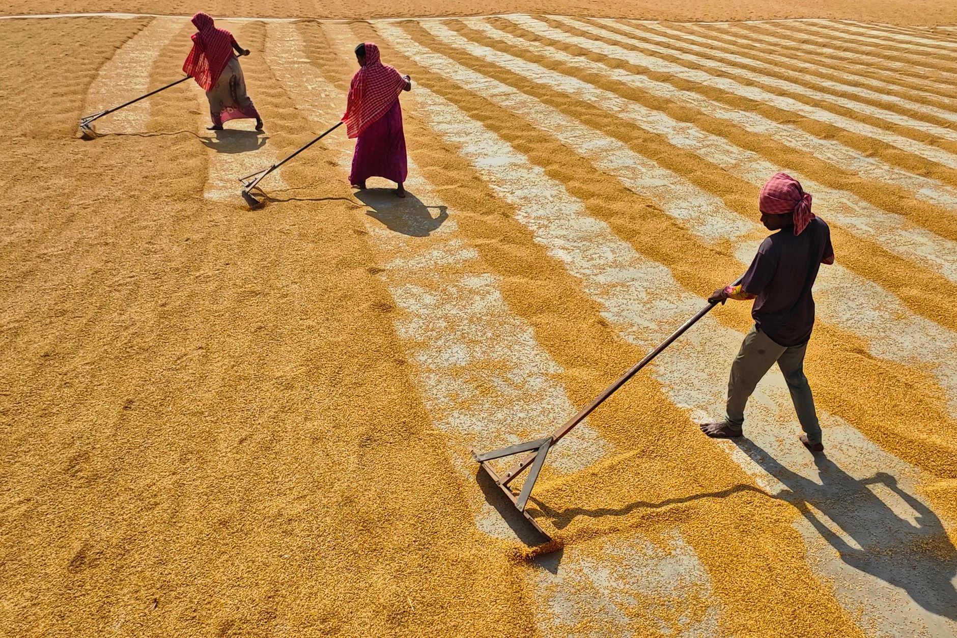 Yellow Chana Dal