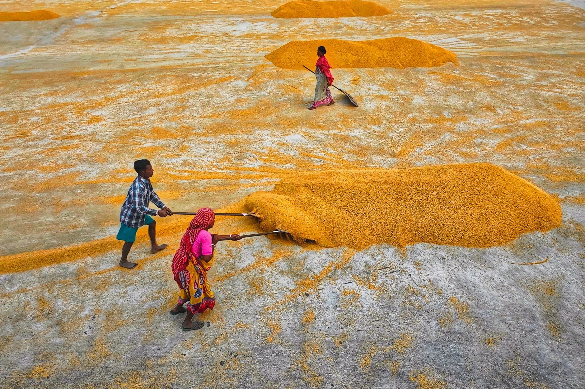 Yellow Moong Dal Flour