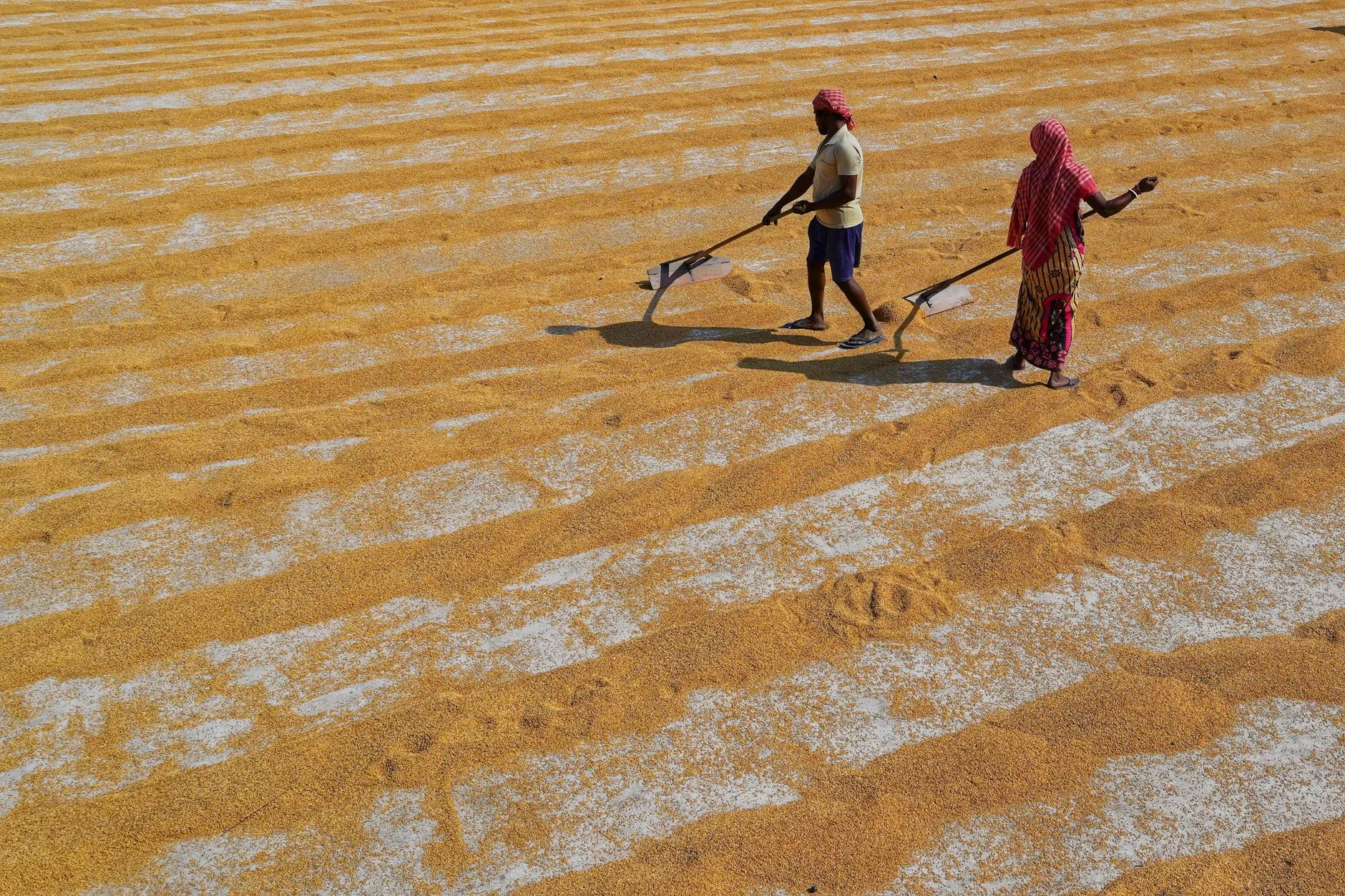 Yellow Toor Dal