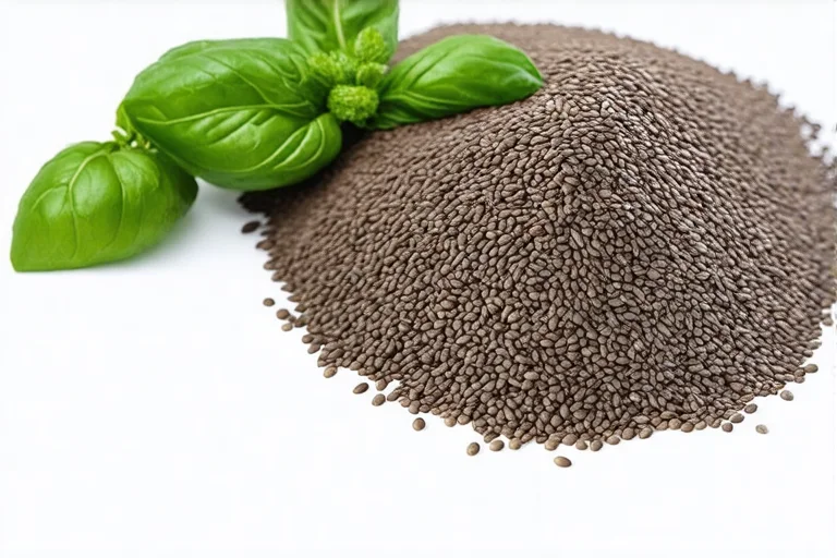Basil Seeds