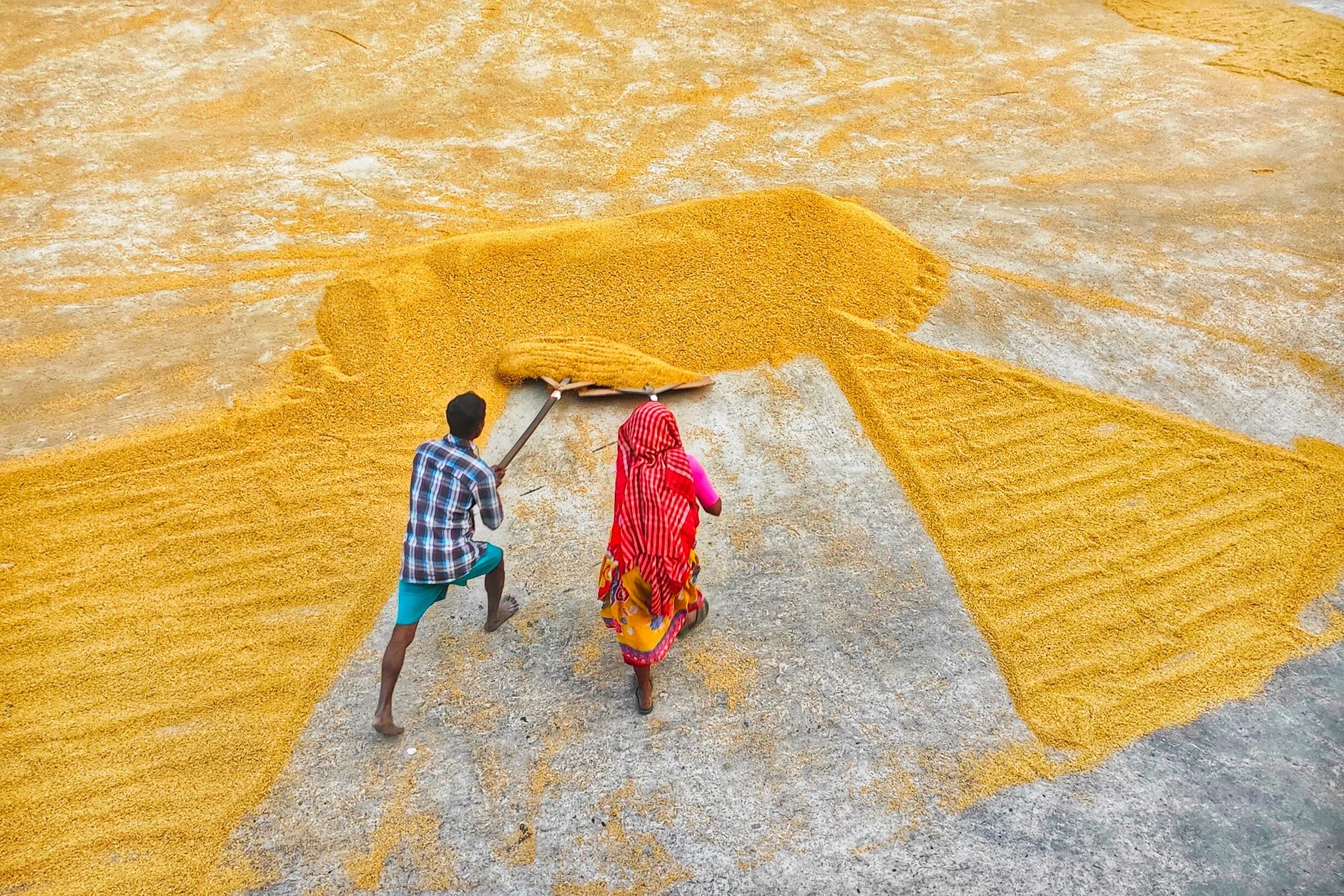 Chana Dal