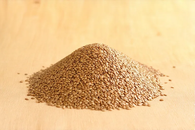 Flax Seeds
