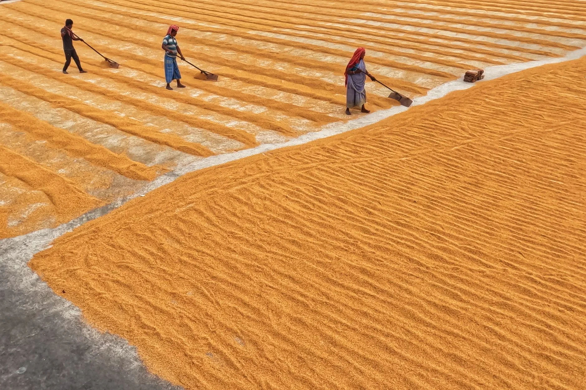 Kabuli Chana
