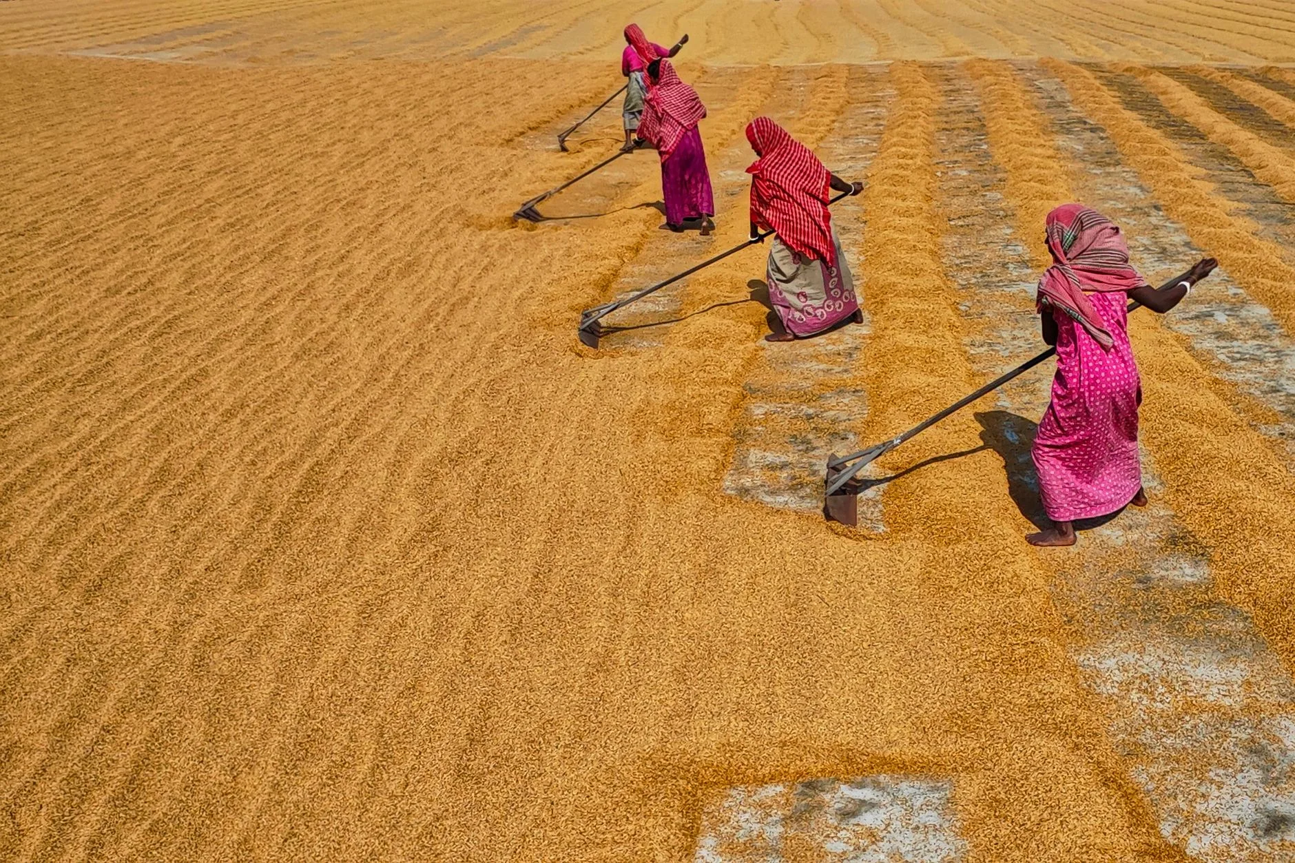 Moong Dal